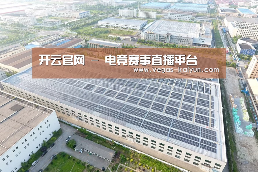 案例展示一