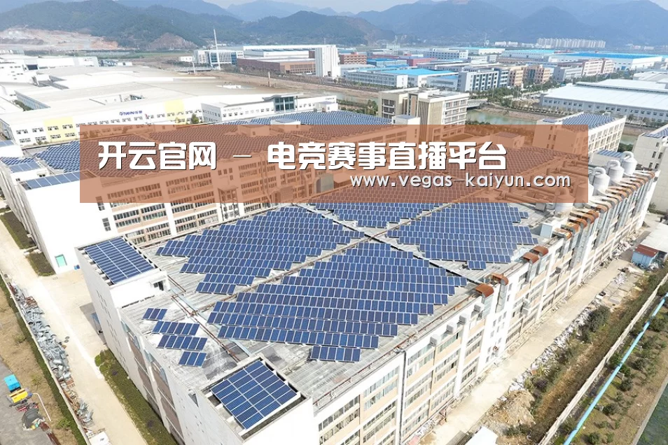 案例展示一