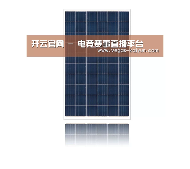 产品名称一