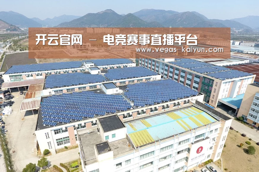 案例展示一