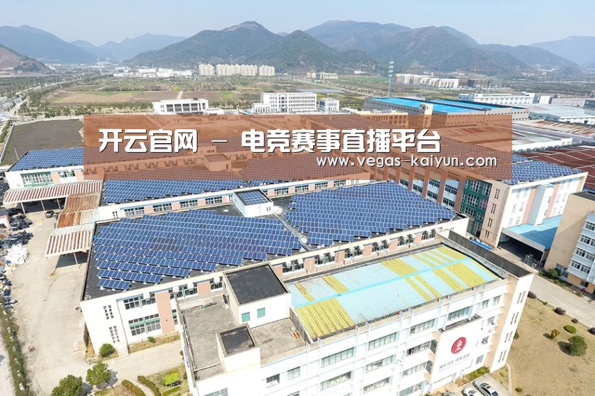 案例展示四
