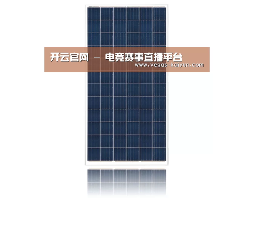 产品名称一