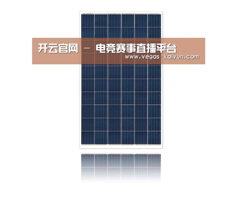 产品名称一