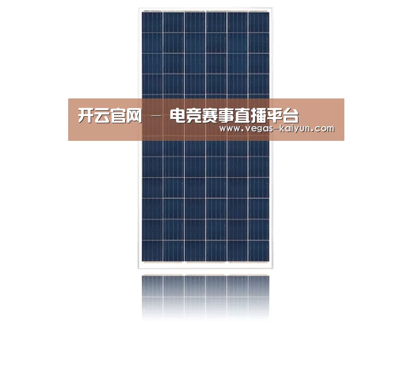 产品名称一