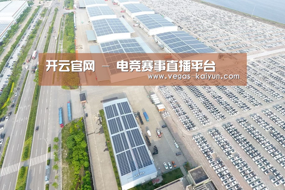 案例展示一