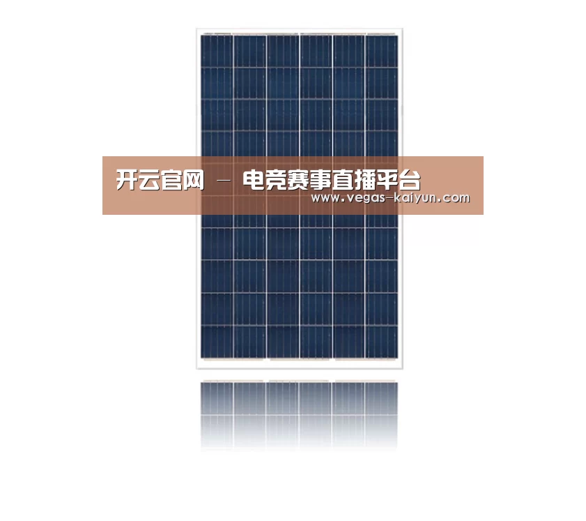 产品名称四
