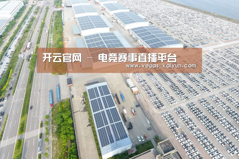 案例展示一