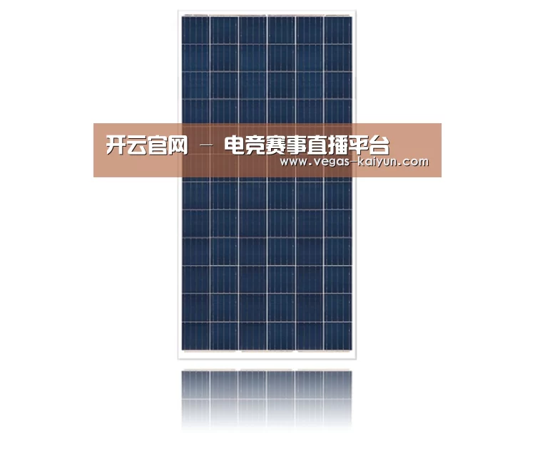 产品名称一