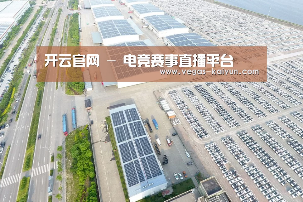 案例展示四