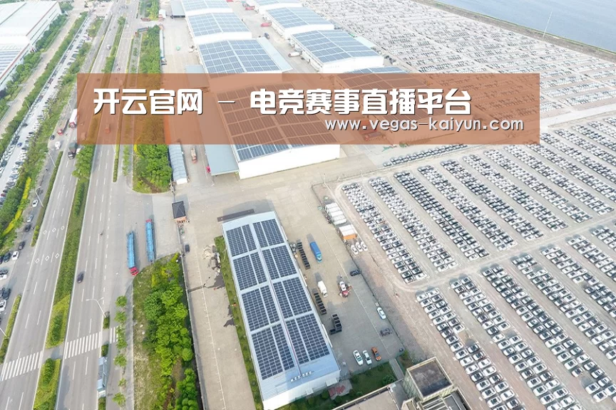 案例展示三