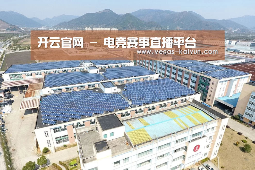 案例展示三