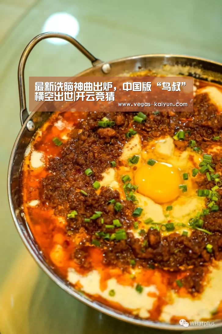 最新洗脑神曲出炉,中国版“鸟叔”横空出世|开云竞猜(图1) 开云电竞
