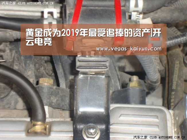 黄金成为2019年最受追捧的资产|开云电竞(图1) 开云竞猜