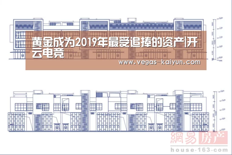 黄金成为2019年最受追捧的资产|开云电竞(图2) 开云电竞