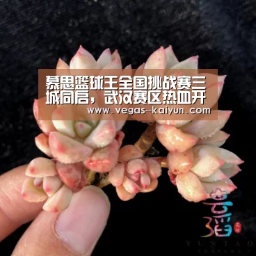 开云直播
