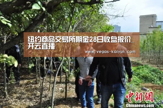 纽约商品交易所期金28日收盘报价_开云直播(图1) 开云赛事