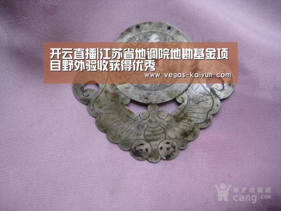 开云直播|江苏省地调院地勘基金项目野外验收获得优秀(图2) 开云直播