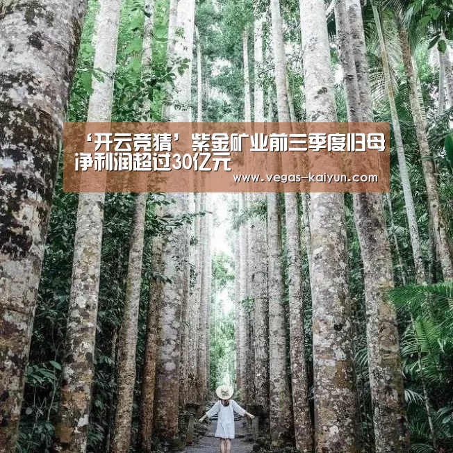 ‘开云竞猜’紫金矿业前三季度归母净利润超过30亿元(图3) 开云竞猜